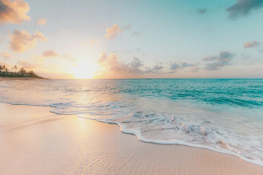 Palm Beach coastline